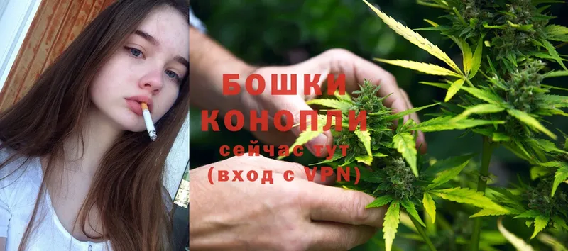 Бошки марихуана OG Kush  Белинский 